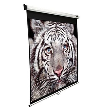 EliteScreens projekcijsko platno zidno 245x185cm